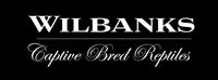 Wilbanks Logo