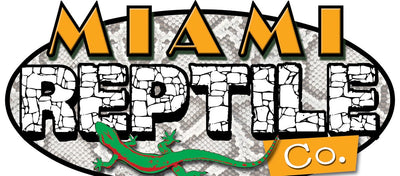 Miami Reptile