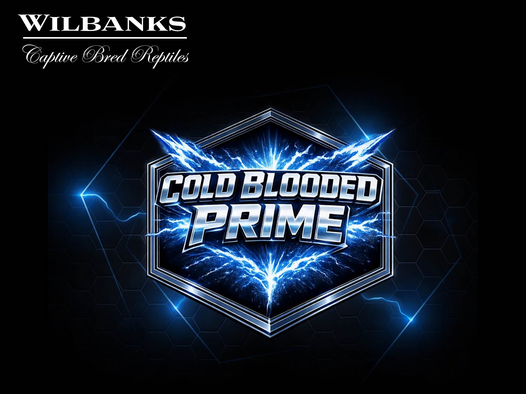 Cold Prime Cold Blooded Prime™ – Wilbanks Captive Bred Reptiles
