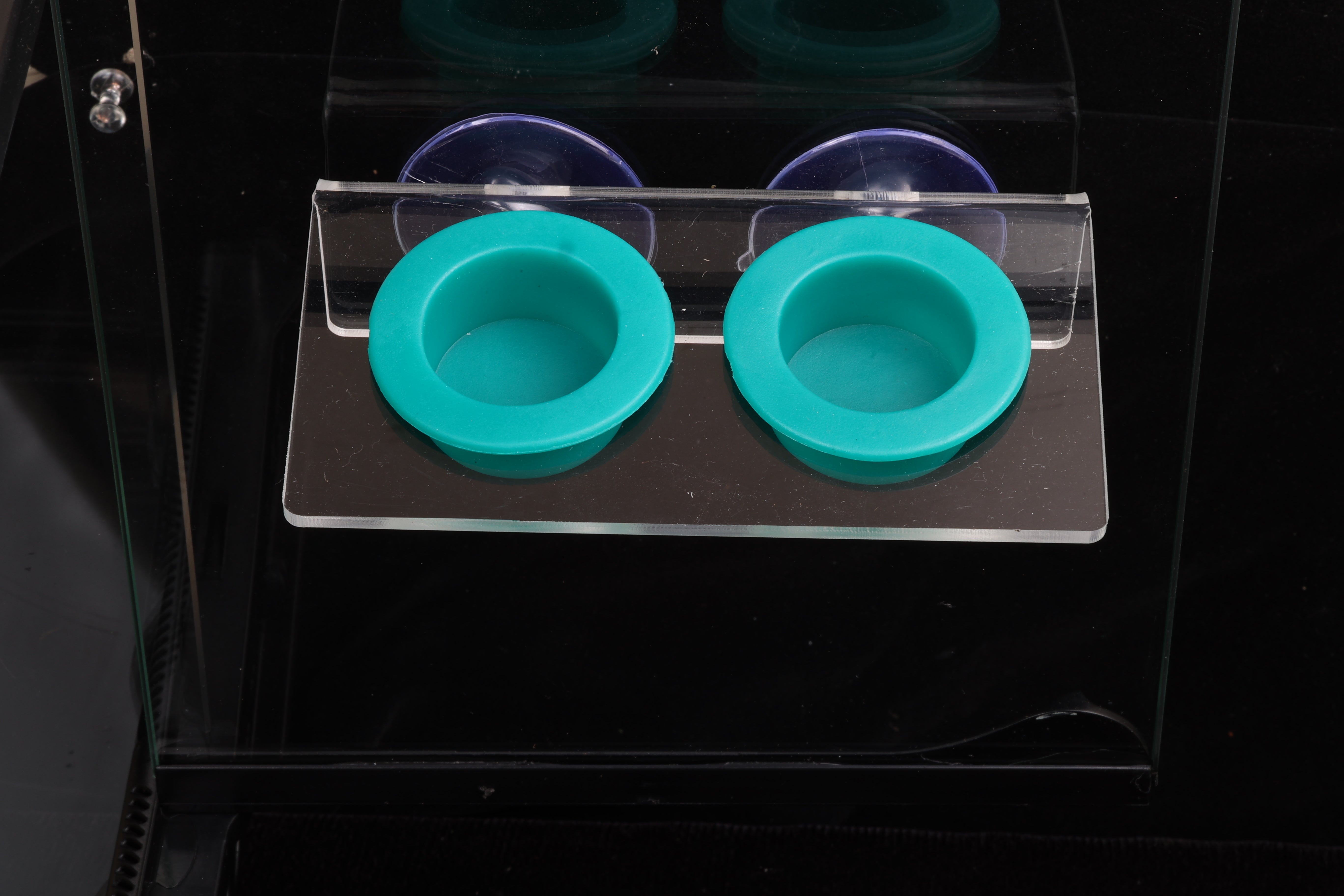 Wilbanks Professional Reptile Suction Cup Gecko Ledge - Small ...