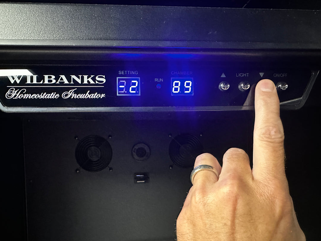 Wilbanks Homeostatic Reptile Egg Incubators – Wilbanks Captive