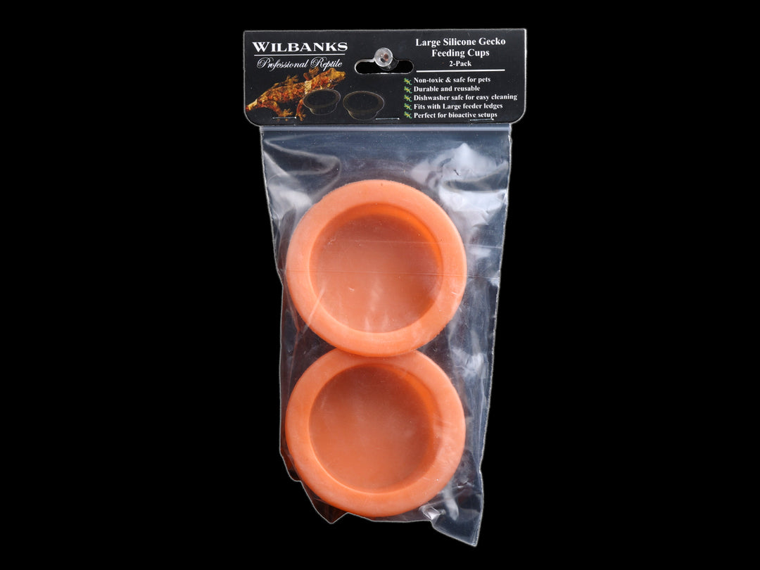 Gecko feeding cups clearance