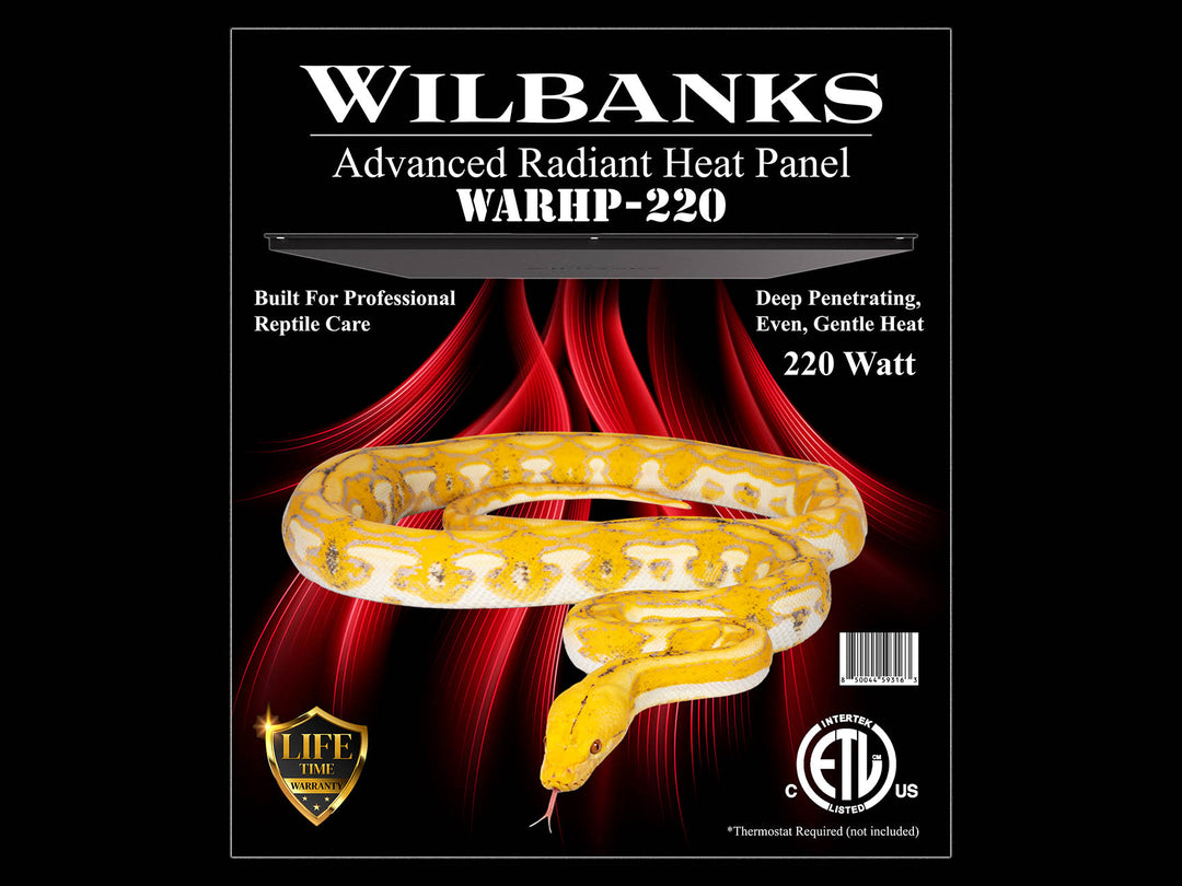 WARHP220ProdPhoto_9eb6ef21-