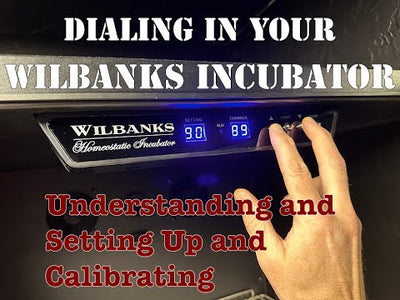Wilbanks Homeostatic Incubator™  WH-380WIFI (Capacity - 29 Ball Python Clutches*)