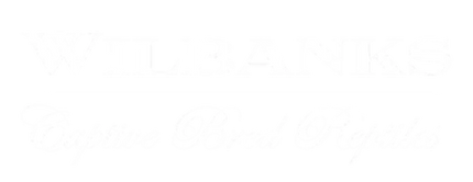 Python 2 Snake Logo Explore Available Reptiles – Wilbanks Captive Bred Reptiles