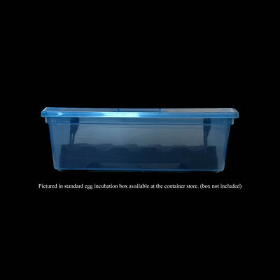 Wilbanks Egg Incubation Tray (10 egg capacity)