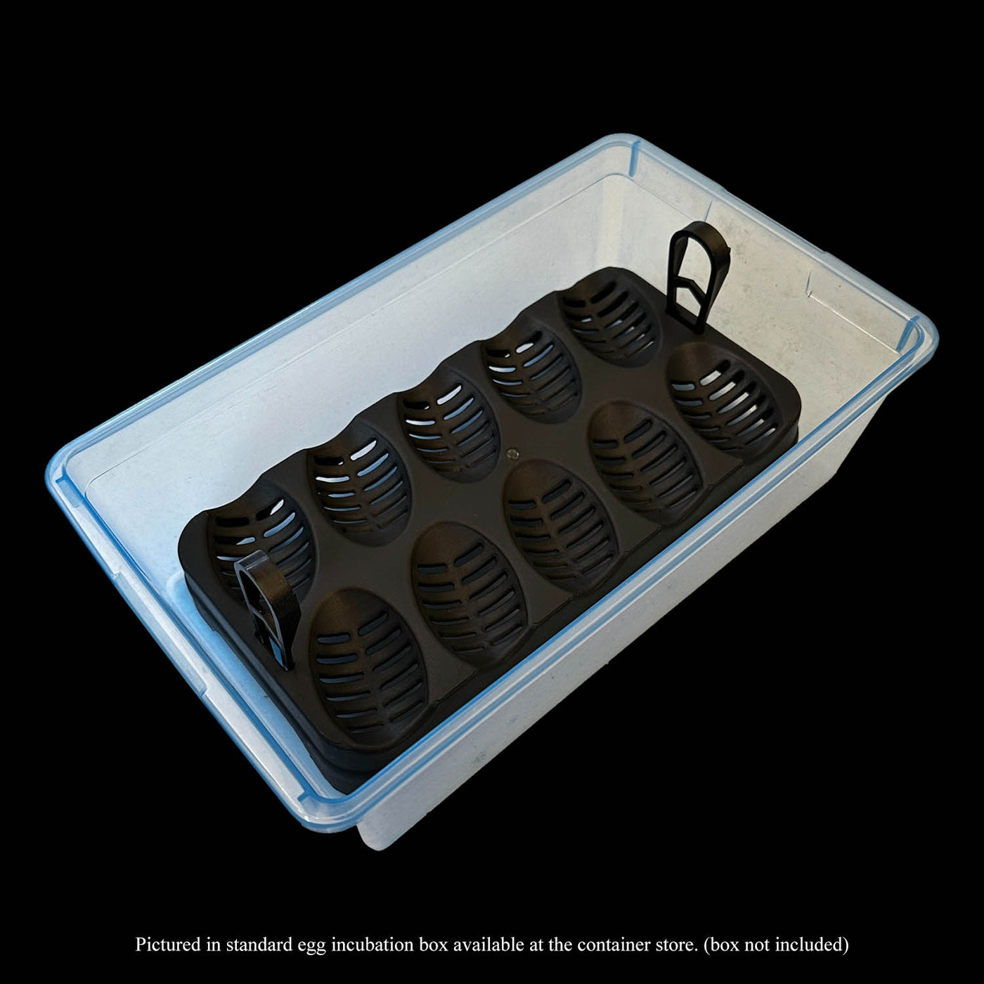 Wilbanks Egg Incubation Tray (10 egg capacity)