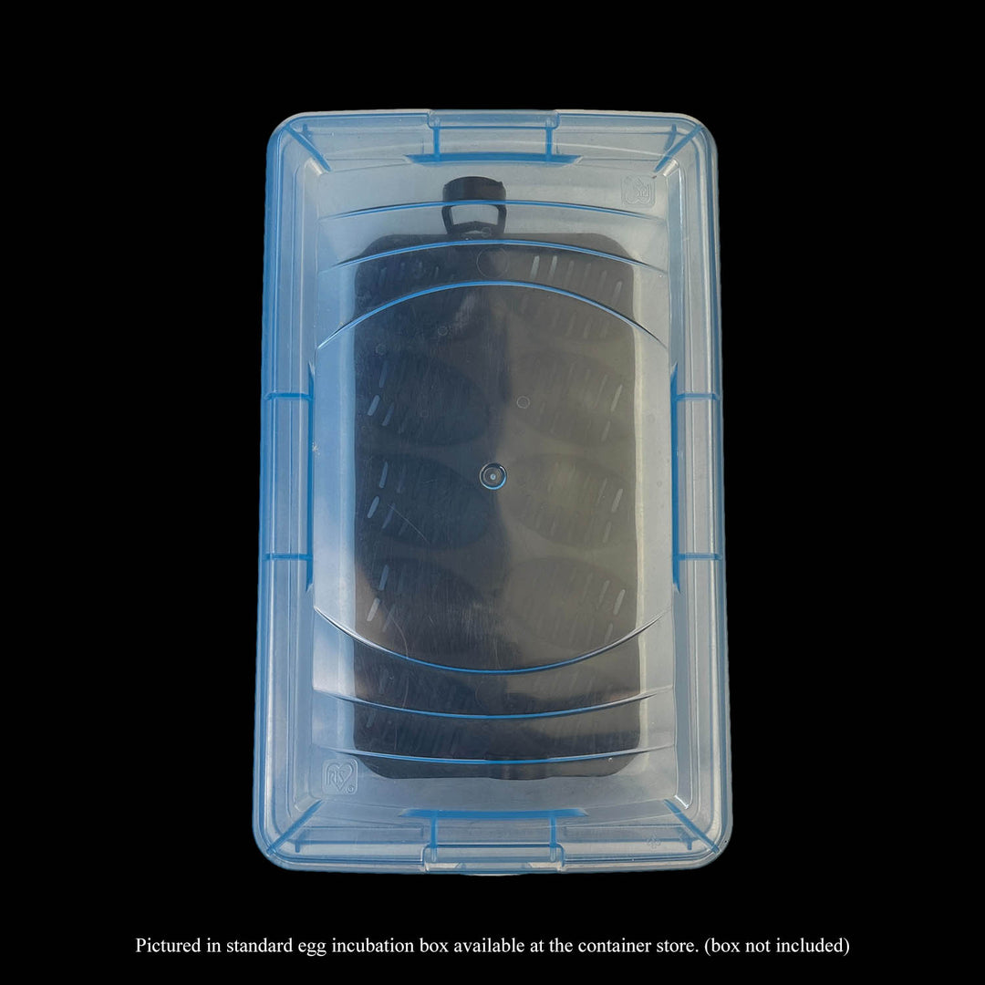 Ball Python Hatch Trays