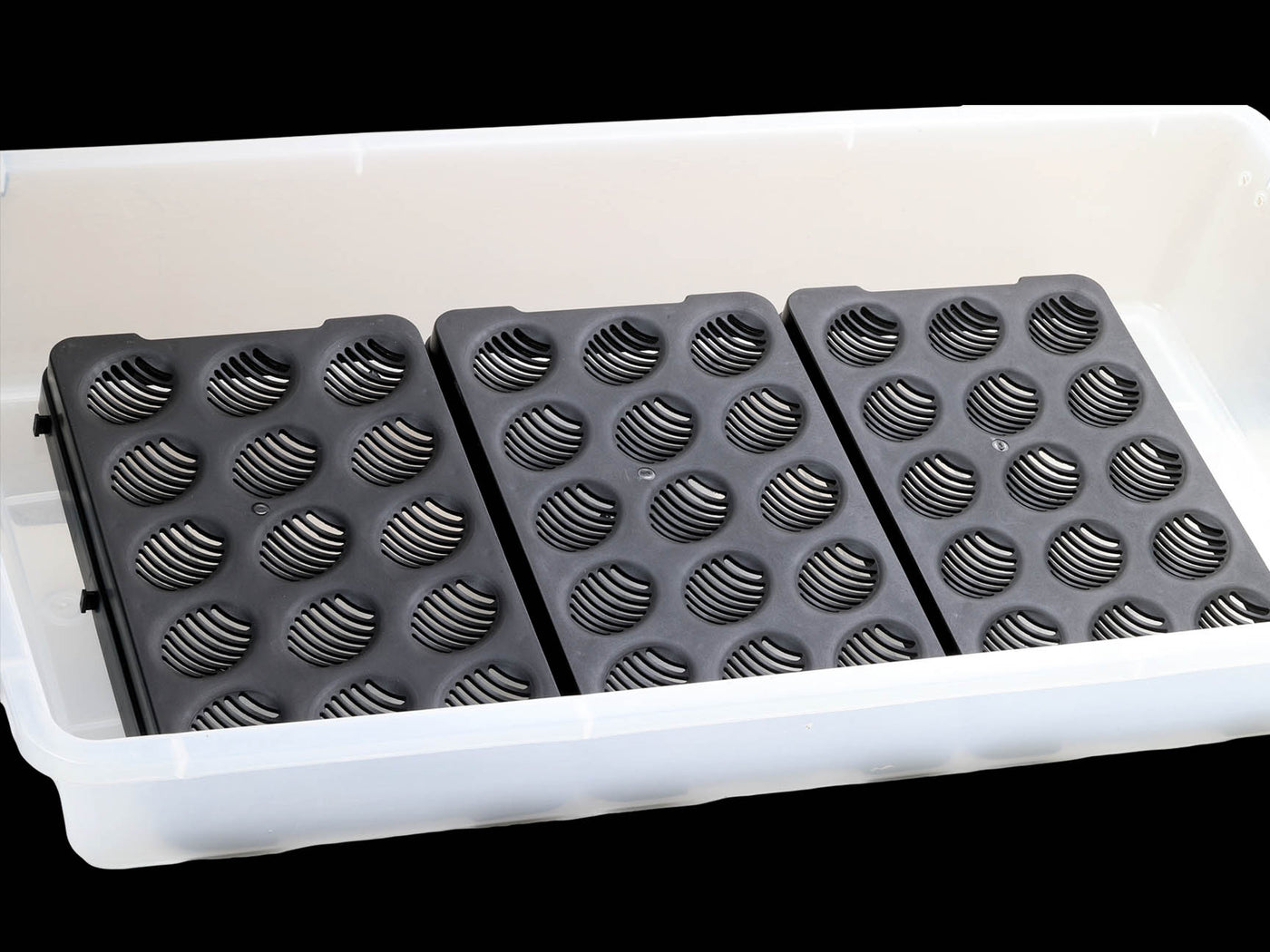 Wilbanks Egg Incubation Tray (15 egg capacity)