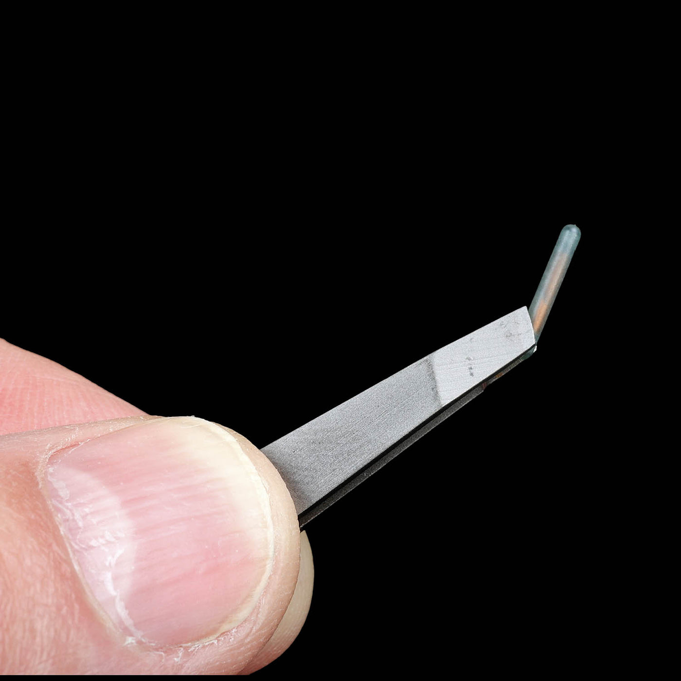 AVID Microchip Implant