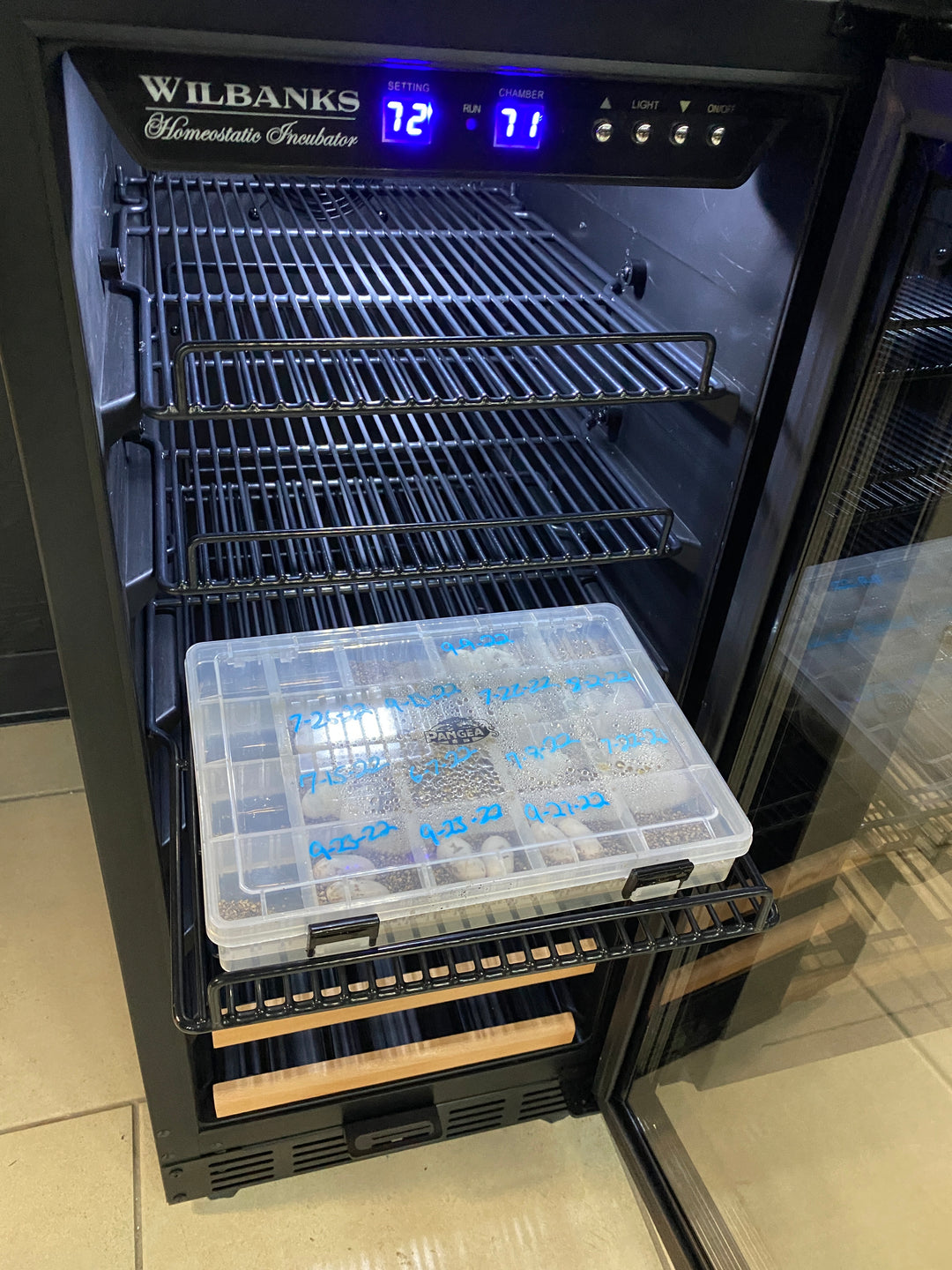 WILBANKS ostatic Incubator 爬虫類孵卵器 WH-80 Reptile Egg Incubator | Wilbanks Homeostatic – Wilbanks