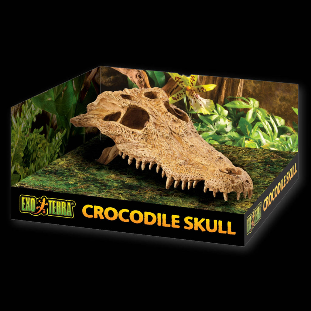 Exo Terra T-Rex Skull Terrarium Decor - Realistic Dinosaur Hideout For Reptile Habitats