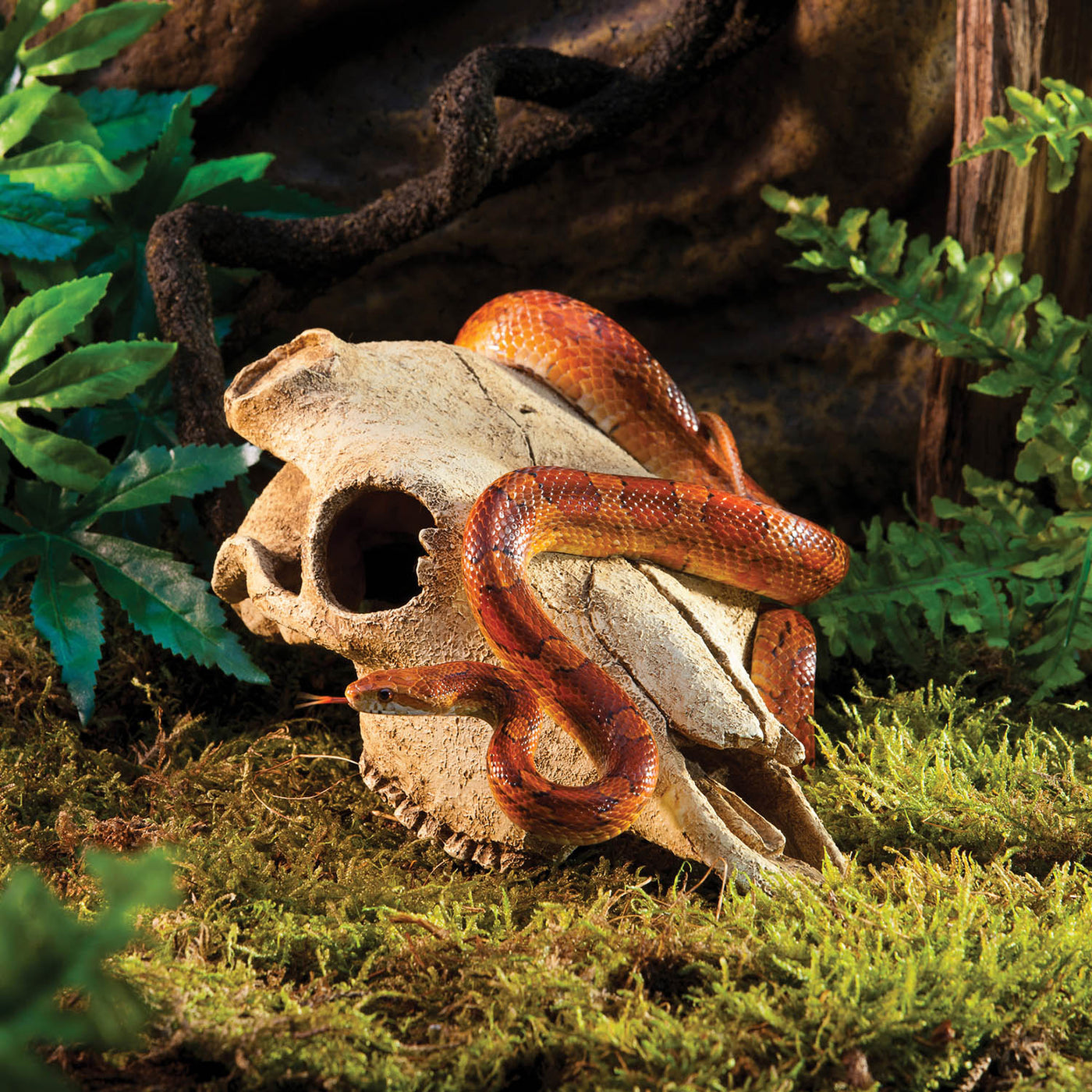 Exo Terra Terrarium Decor Buffalo Skull