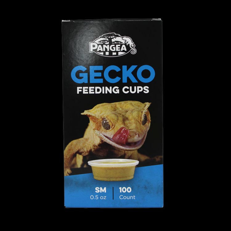Pangea Gecko Feeding Cups - Small