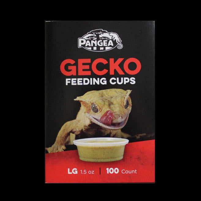 Pangea Gecko Feeding Cups - Large