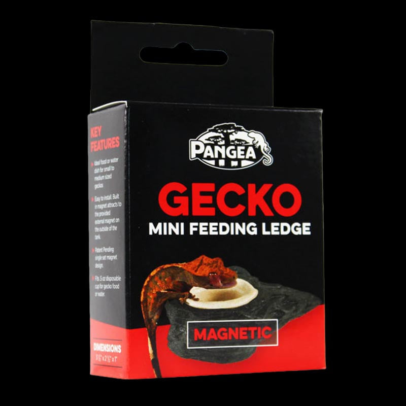 Pangea Mini Magnetic Gecko Feeder Ledge