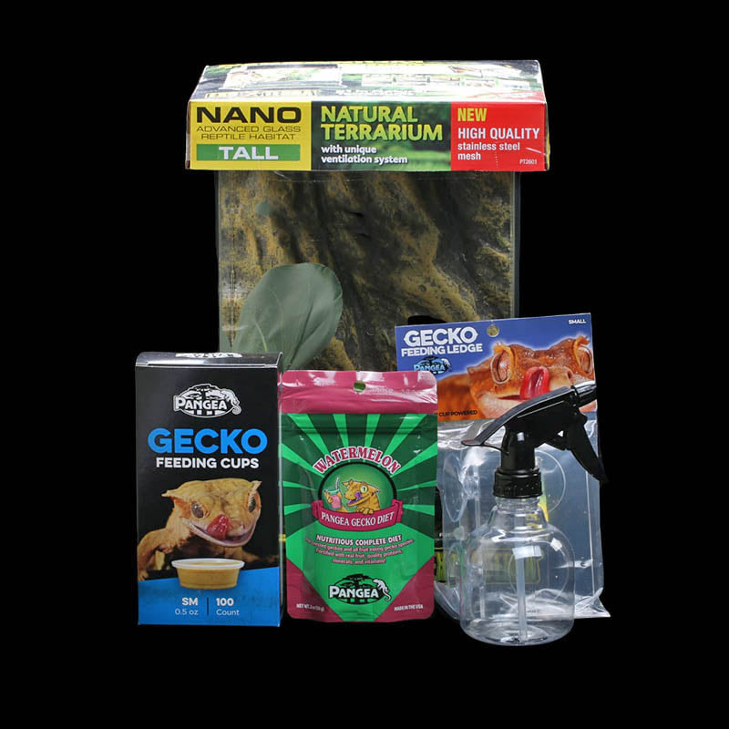 Crested Gecko Kit - Exo Terra - Pangea - Wilbanks