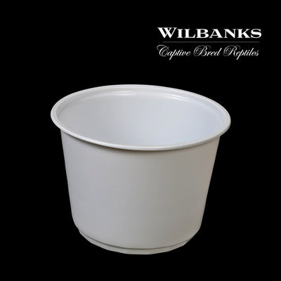 Wilbanks - 16oz Disposable Water Bowls