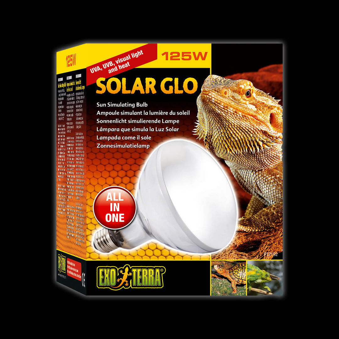 s554225691664450289_p3787_i2_w