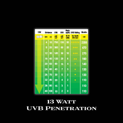 Exo Terra Reptile UVB 200 Intense CFL Bulb