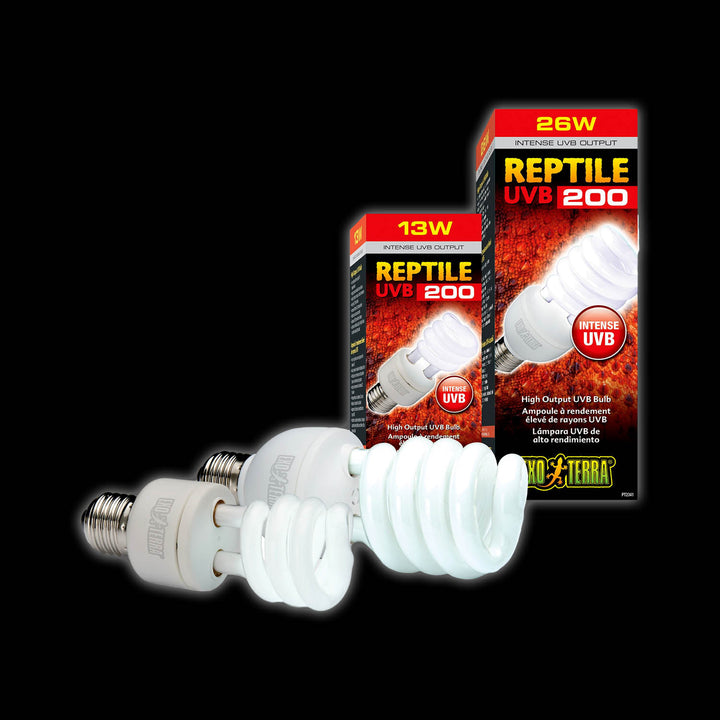 uvb grow light bulbs Exo Terra Reptile UVB 200 Intense CFL Bulb – Wilbanks Captive Bred Reptiles