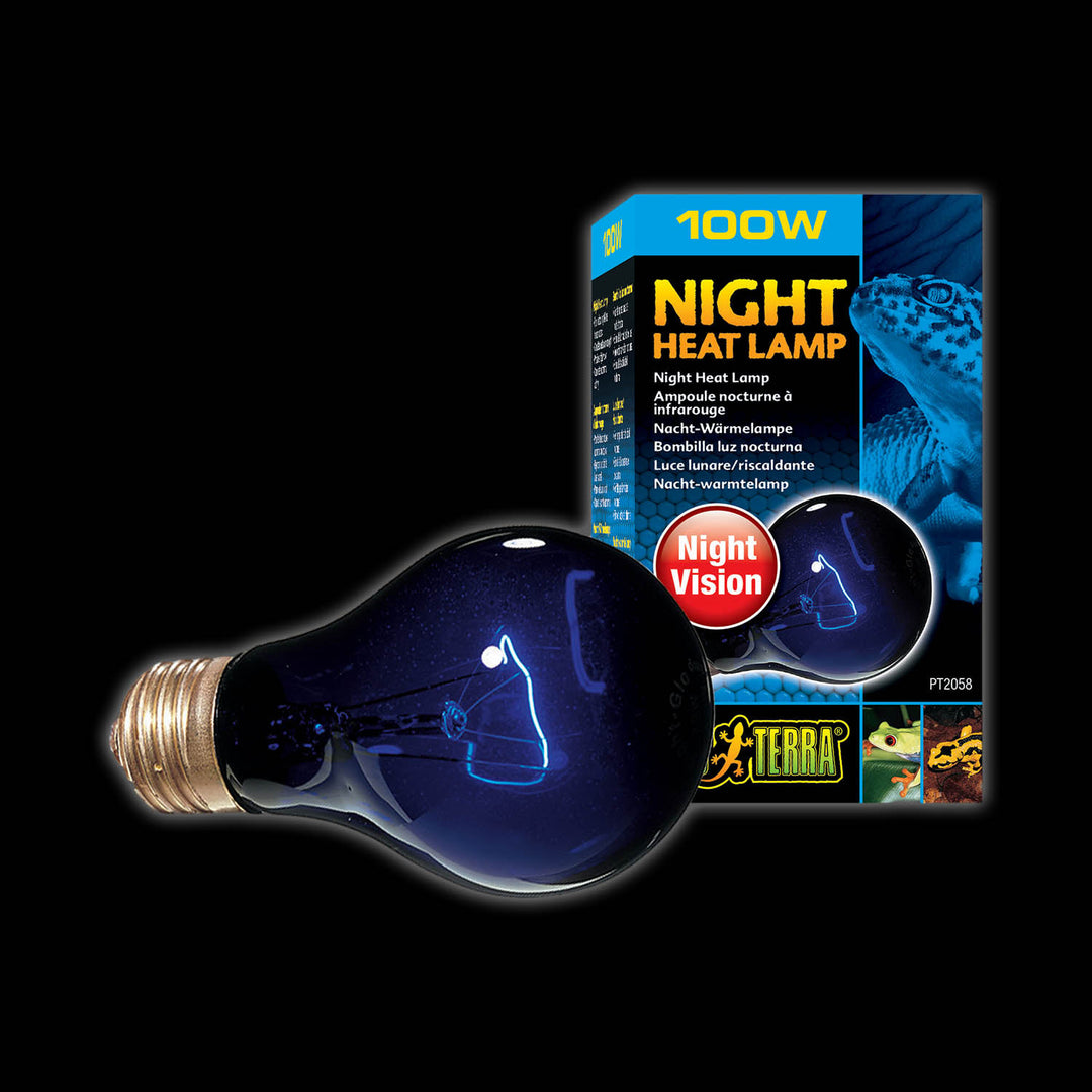 Night heat bulb discount