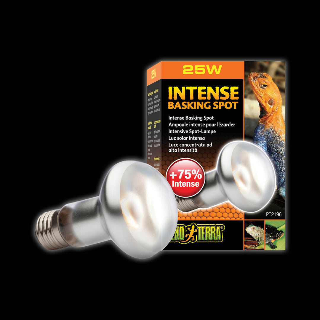 Exo terra 75 watt bulb shop