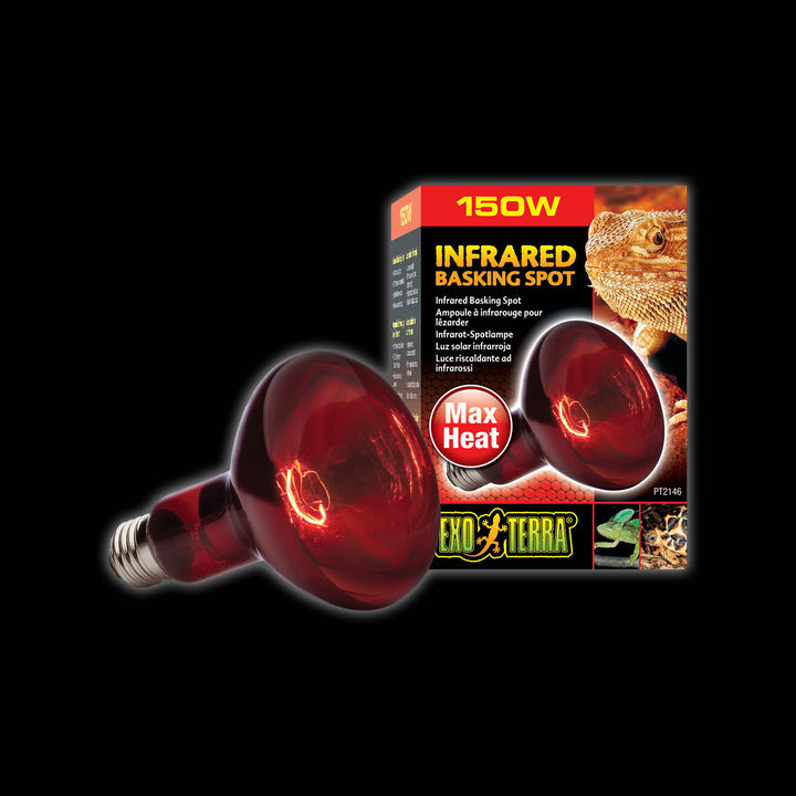 Exo Terra Infrared Basking Spot Lamps – Wilbanks Captive Bred Reptiles