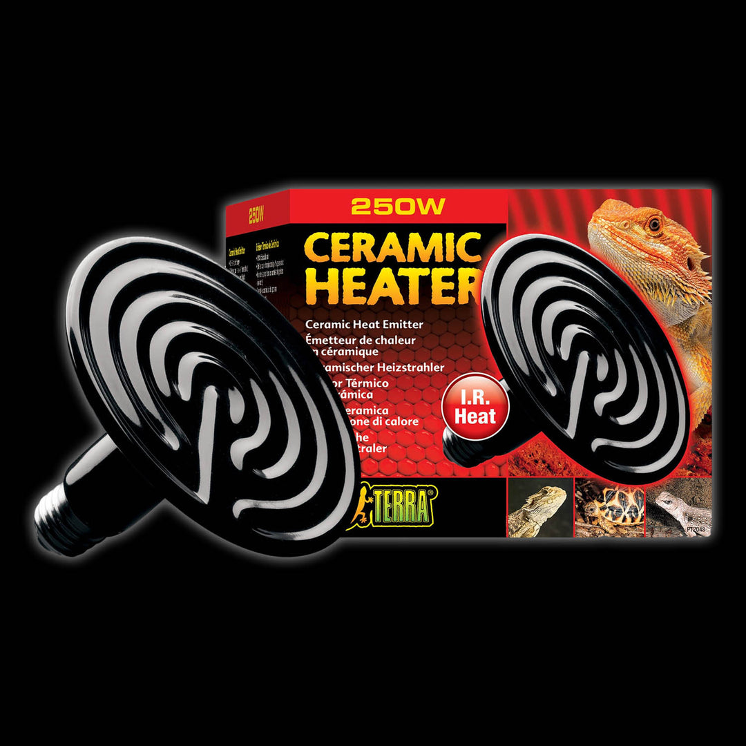 Exo Terra Ceramic Heater – Wilbanks Captive Bred Reptiles