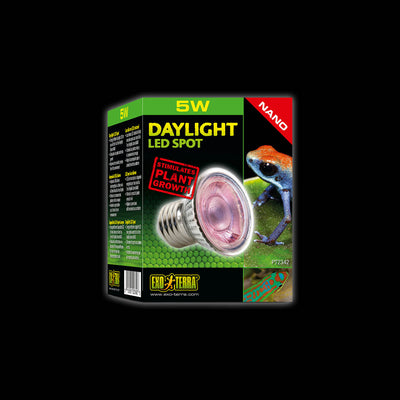 Exo Terra NANO Daylight Basking Spot