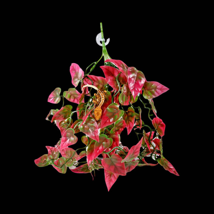 reptile hanging plants Pangea Realistic Hanging Plants