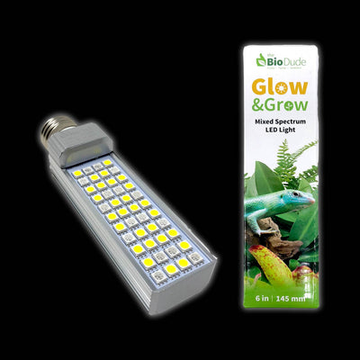 Bio Dude Glow & Grow 6" LED