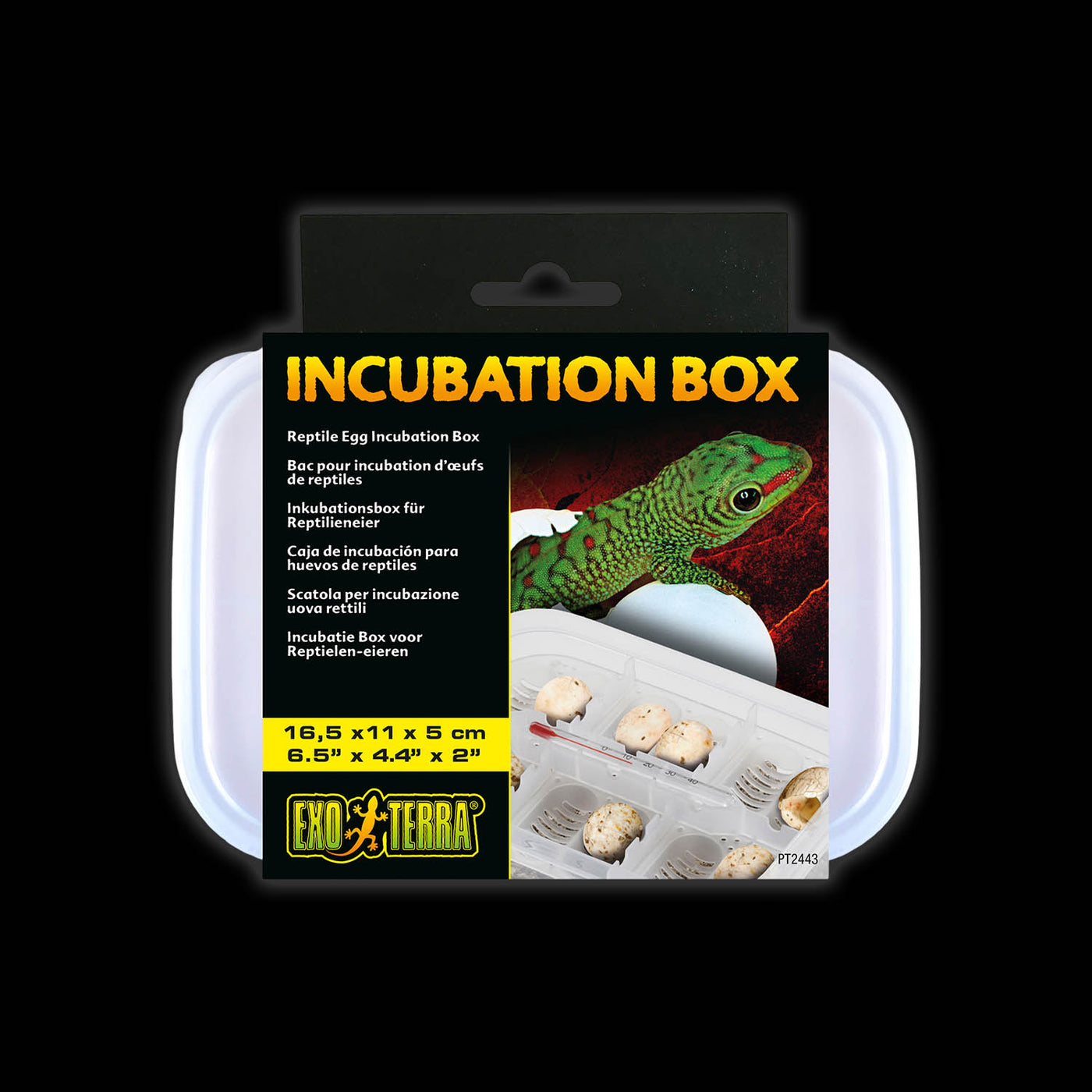 Exo Terra Small Egg Incubation Box