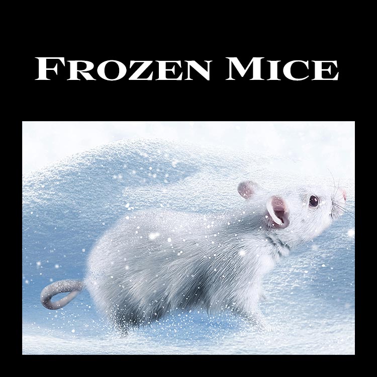 Wilbanks Premium Nutrition -Frozen Mice (Pickup Only)