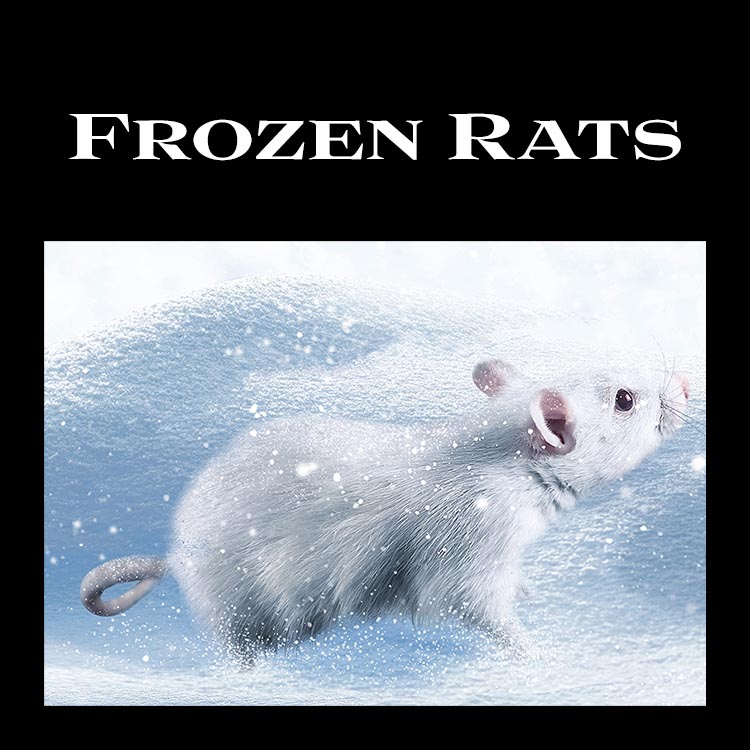 Wilbanks Premium Nutrition - Frozen Rats (Pickup Only)